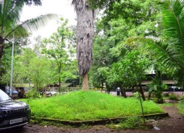 GREEN CAMPUS 3