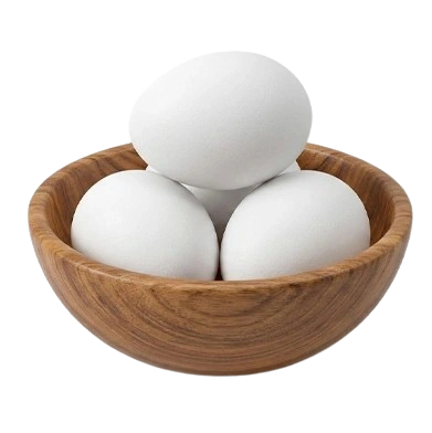 Premium Quality Fresh Table Eggs Exporter from India