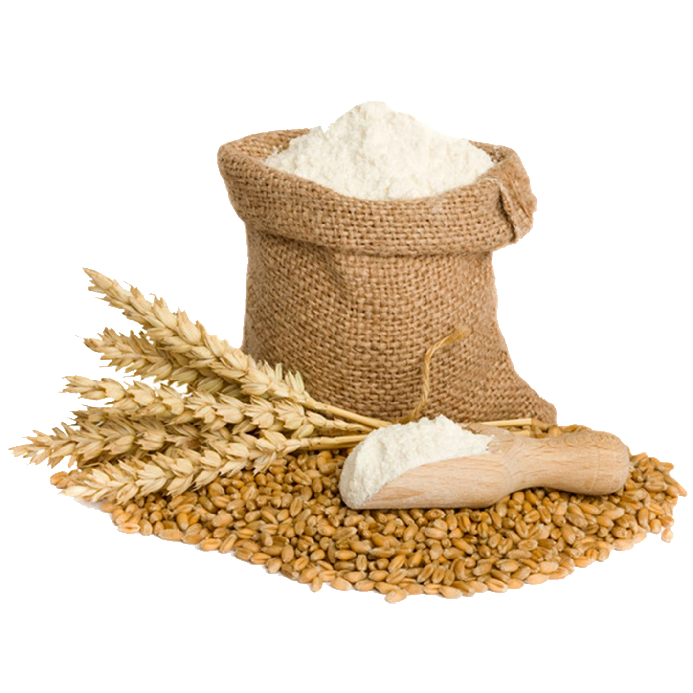 Wheat