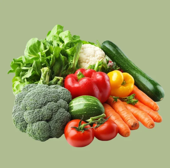 There are many variations of passages of Lorem Ipsum available, but majority have suffered teration in some form, by injected humour, or randomised words which don't look even slight believable. If you are going to use a passage of Lorem Ipsum.