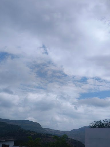 Photo from customer review