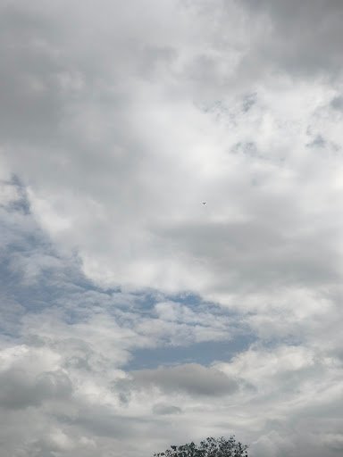 Photo from customer review