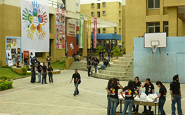 Student Activities