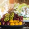 Organic Farming and Mixed Fruit Farming